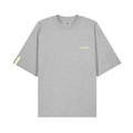 Organic T-shirt "Gray"